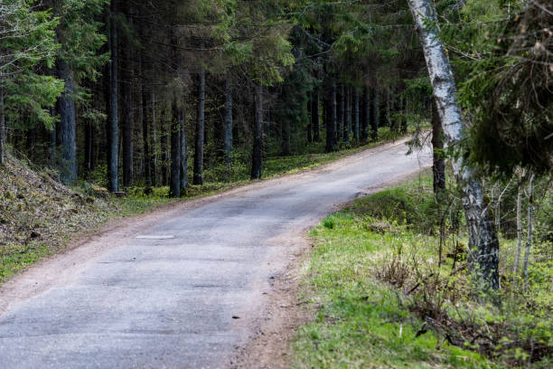 istock country gravel road 688658940
