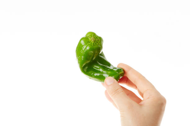 Green pepper that has in hand Green pepper that has in hand 手 stock pictures, royalty-free photos & images