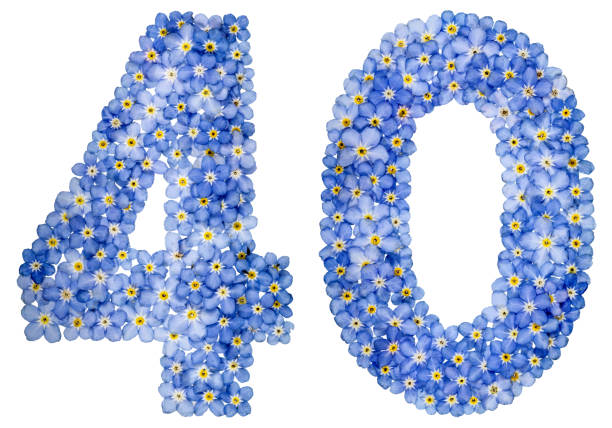 istock Arabic numeral 40, forty, from blue forget-me-not flowers 688712346