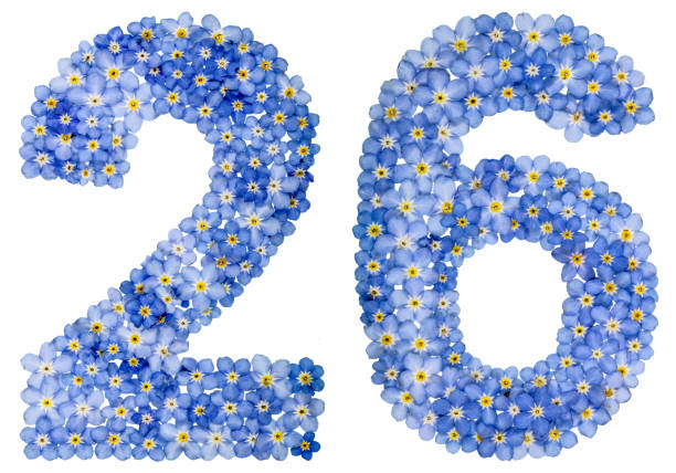 istock Arabic numeral 26, twenty six, from blue forget-me-not flowers 688718732