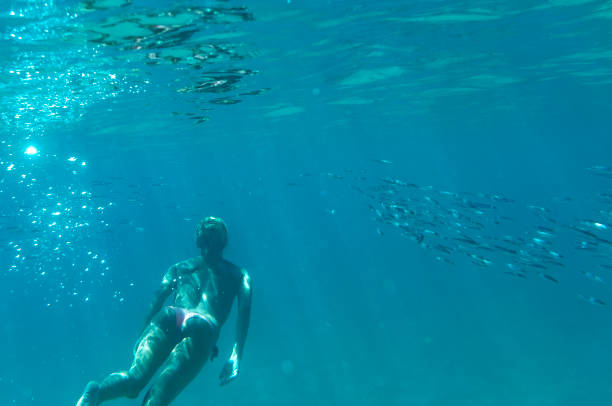 istock Free diver surfacing with a shoal of fish 688718894