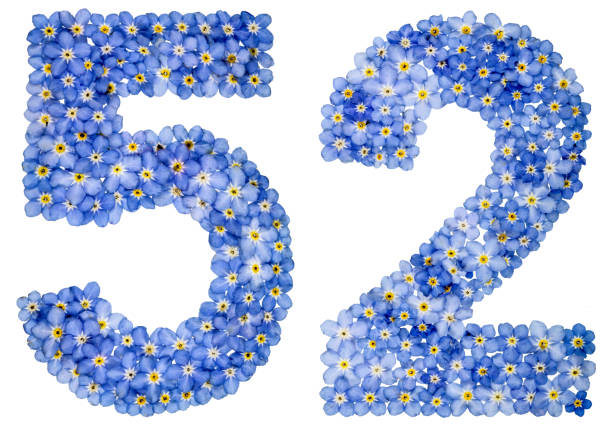 istock Arabic numeral 52, fifty two, from blue forget-me-not flowers 688719066