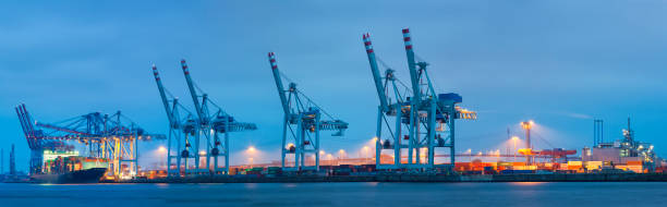 panorama of cargo terminal at dusk, hamburg harbor, germany - hamburg germany harbor cargo container commercial dock imagens e fotografias de stock