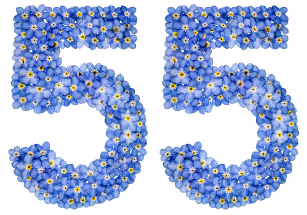 istock Arabic numeral 55, fifty five, from blue forget-me-not flowers 688719256