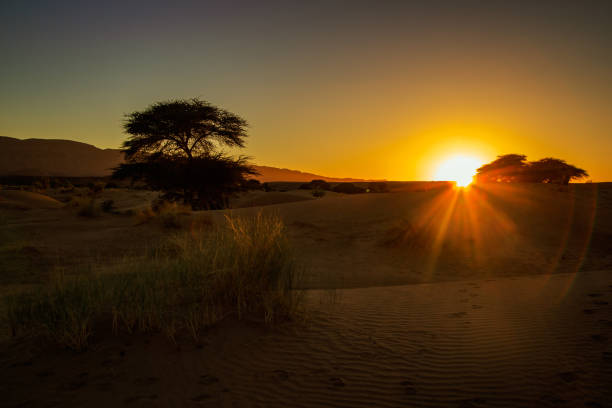 istock Sunset in the desert of morocco. 688724166