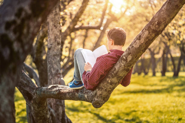 istock Cute boy reading a book sitting in the park at sunset 688725334