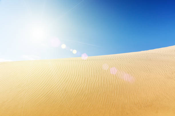 istock Blue sky and sand dunes. Sunny day. 688725520