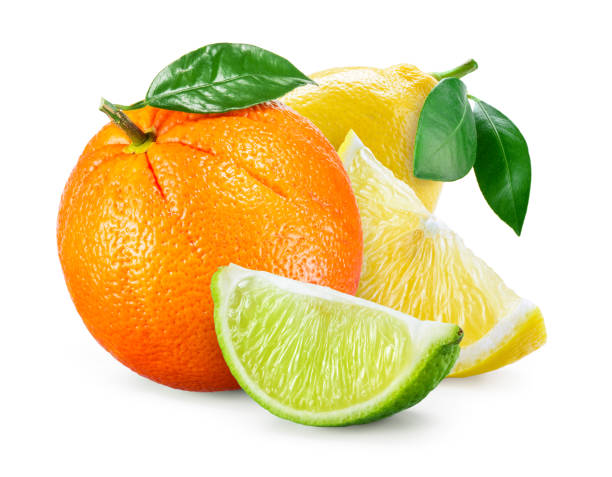 istock Citrus Fruit. Composition with leaves isolated on white background. Orange, lemon, lime. 688730336