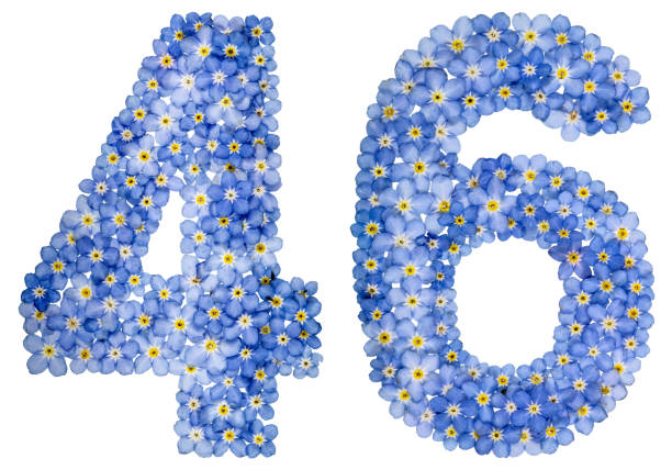 istock Arabic numeral 46, forty six, from blue forget-me-not flowers 688731092