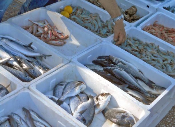 Provisional little fish market, where fishermen sell their catch
