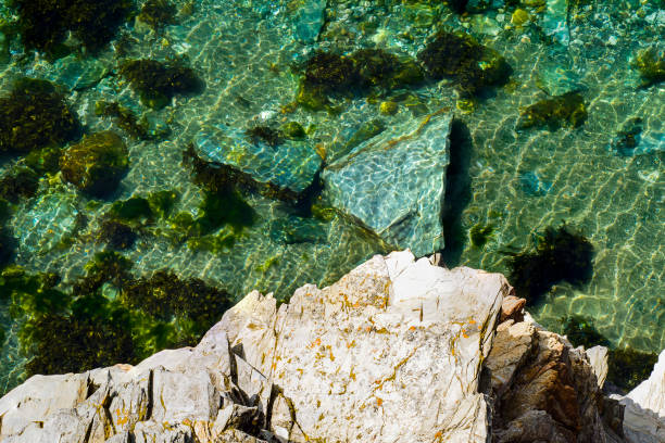 Looking down from a high cliff top into clear sea water along the Cornish coast.