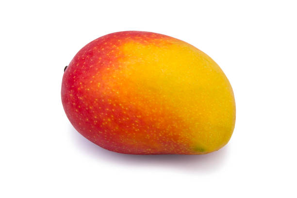 istock Fresh juicy mango fruit isolated on the white background. 688765292