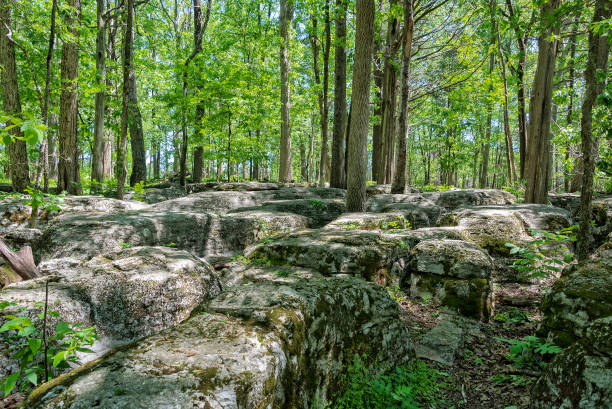 The Slaughter Pen At Stone River National Battlefield