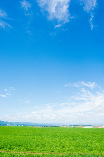 Grassland and blue sky in summer of Hokkaido Japan