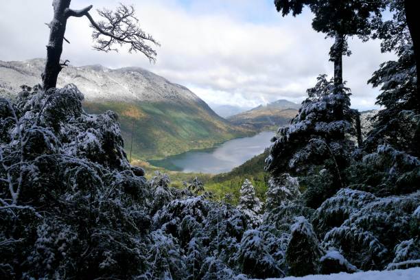 istock Lake in the snow 688779930