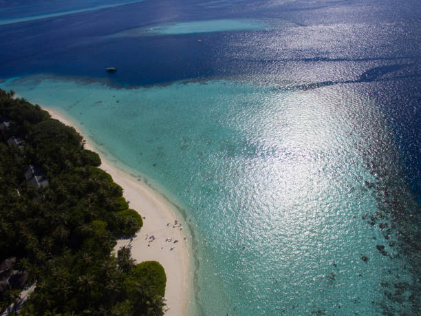 istock Nature on the Maldives 688783288