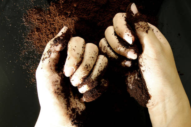 istock Coffee powder as wallpaper 688793494