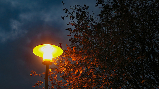Illuminated Street Lantern at Twilight with Winter Trees in Brooklyn Bridge Park in New York.