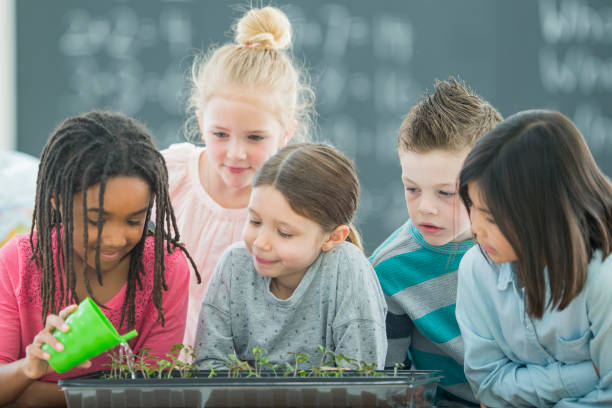 Watering a Small Garden with Friends A multi-ethnic group of elementary age school children look curiously as they learn to water small plants inside a classroom garden. kids goal setting stock pictures, royalty-free photos & images