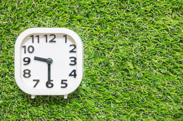 istock Closeup white clock for decorate show a half past nine or 9:30 a.m. on green artificial grass floor textured background with copy space 688809658