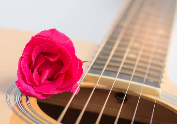 istock Acoustic guitar and pink rose on white background 688811922