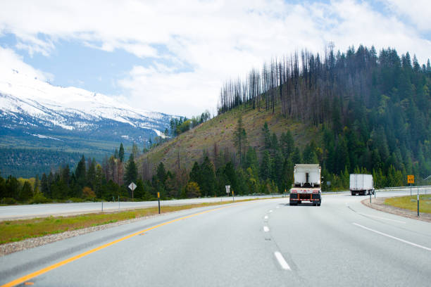 semi trucks moving on turning wide highway with mountains background - twisted tree california usa imagens e fotografias de stock