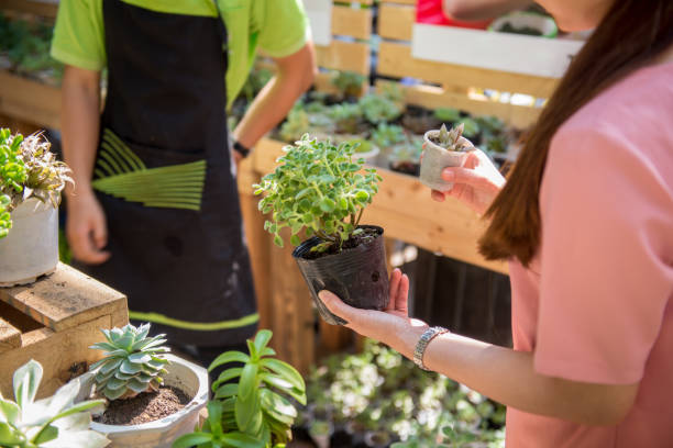 istock Asian customer ask gardener about some plants in the garden 688830870