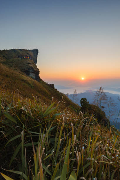 istock Phucheefah on the morning in Thailand 688834976