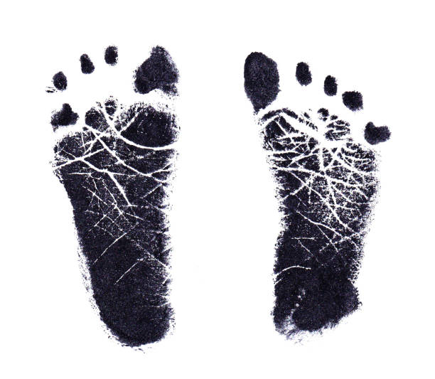 フットプリント - human foot barefoot sole of foot human toe ストックフォトと画像