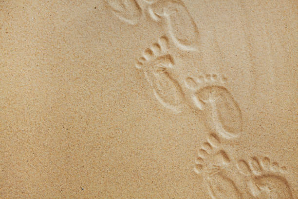 istock Cute baby footsteps on sandy beach with space for text or desighn 688841034