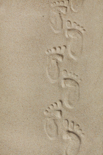 istock Cute baby footsteps on sandy beach with space for text or desighn 688841398