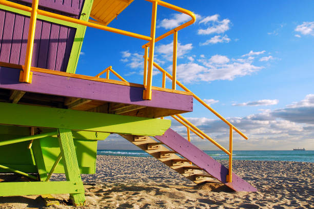 istock Purple and green at the Shore 688844588