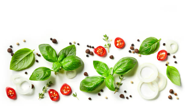 istock collection of fresh herbs and spices 688857816