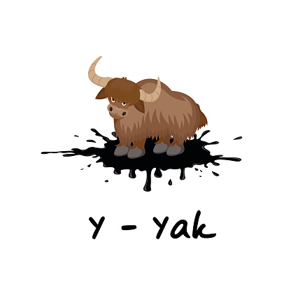 Isolated animal alphabet for the kids, Y for Yak