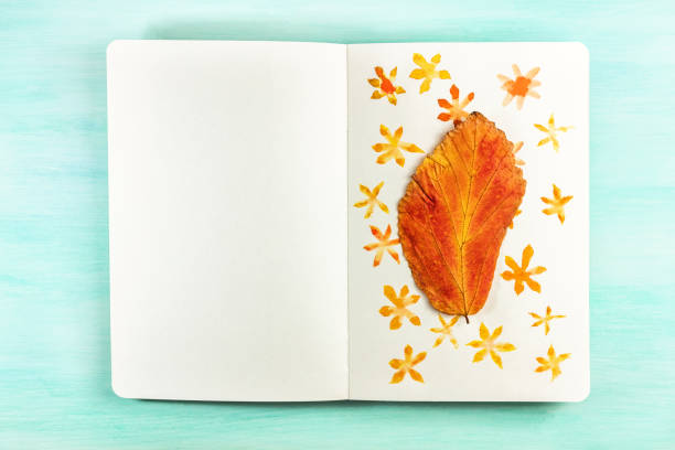istock Autumn leaf taped to notebook page with watercolor drawings 688862130