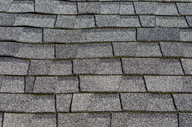 istock Composition shingles on a roof showing detail 688862306