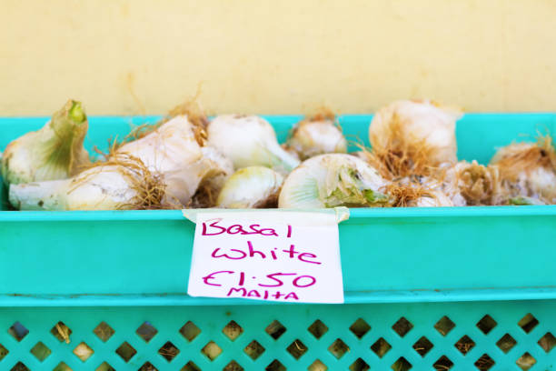 Valletta, Malta: Maltese White Onions for Sale At Market