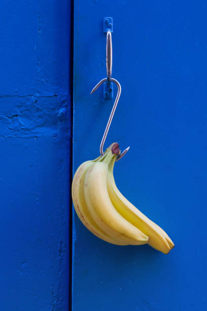 Bunch Bananas Hanging on Vibrant Blue Door in Malta