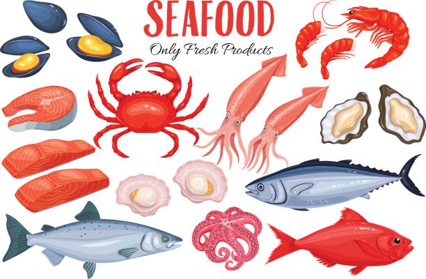 Seafood in cartoon style Seafood in cartoon style. Vector icons mussel, fish salmon, shrimp, squid, octopus, scallop, lobster, craps, mollusk, oyster, alfonsino and tuna. salmon seafood stock illustrations