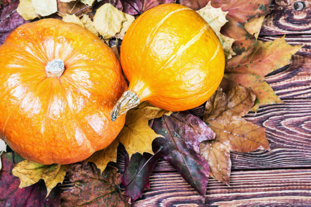 istock Ripe pumpkins and autumn leaves 688897010