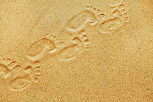 Cute baby footsteps on sandy beach with space for text or desighn stock photo