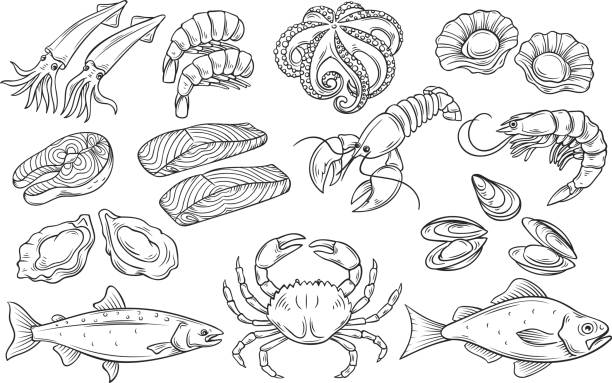 ilustraciones, imágenes clip art, dibujos animados e iconos de stock de conjunto de mariscos dibujado a mano - prepared fish illustrations