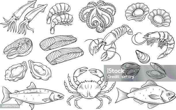 Hand Drawn Seafood Set Stock Illustration - Download Image Now - Seafood, Drawing - Art Product, Fish