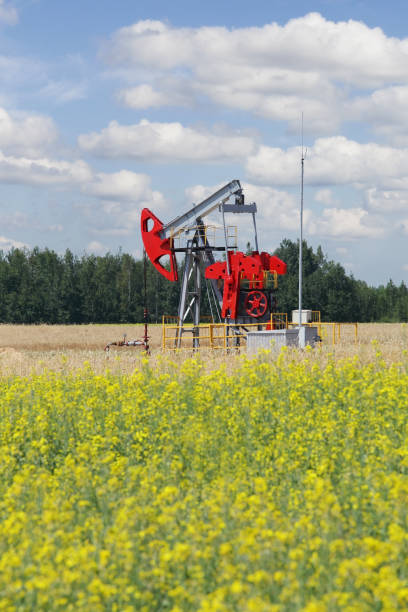 istock Pumpjack - oil production, oilfield pump jack 688907582
