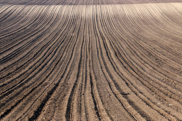 istock plowed field nature background agriculture 688911478