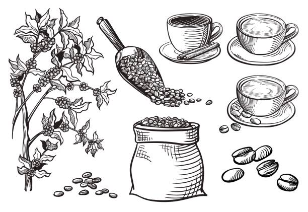 satz von tasse und kaffee turk - kaffe auf glastisch stock-grafiken, -clipart, -cartoons und -symbole