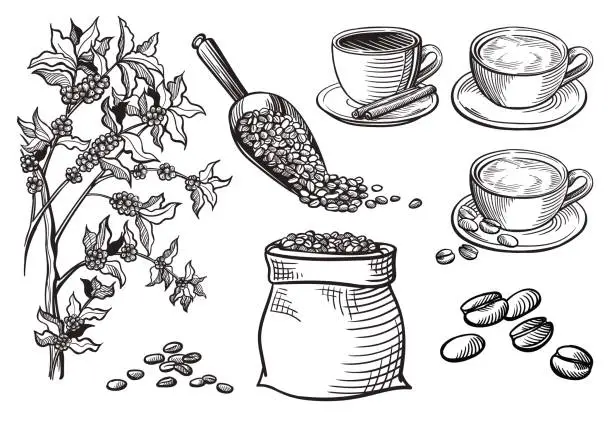 Vector illustration of set of cup and coffee turk