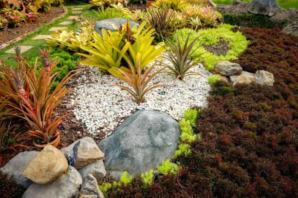 istock Trees in the shade garden 688914422