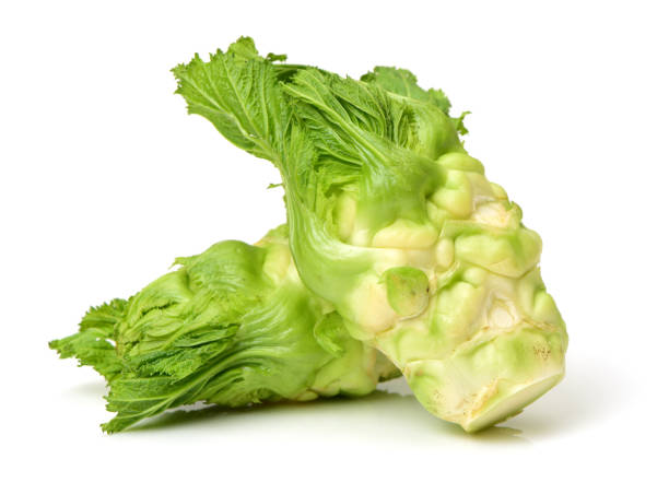Brussels mustard （Kohlrabies）on white background