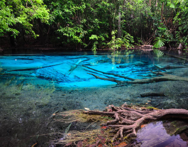 istock Emerald blue pool in Krabi province, Thailand 688921224